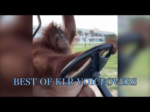 Funniest Animal Voiceovers - Ep. 10