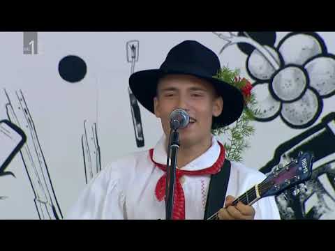 Mladi Belokranjci - Slovenski vojak