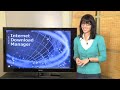 How Internet Download Manager works?