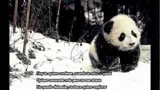 Jesse &amp; Joy   Quiero que me quieras