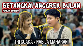 Download lagu SETANGKAI ANGGREK BULAN - PINKAN MAMBO | LIVE NGAMEN MENOEWA KOPI BY TRI SUAKA, NABILA MAHARANI mp3 Download lagu SETANGKAI ANGGREK BULAN - PINKAN MAMBO | LIVE NGAMEN MENOEWA KOPI BY TRI SUAKA, NABILA MAHARANI mp3