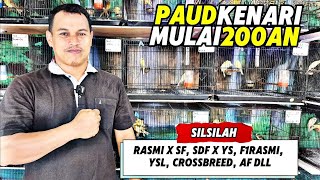 Download lagu PAUD KENARI Review‼️Starting from 200, abundant stock of various CROSSBREEDS... mp3