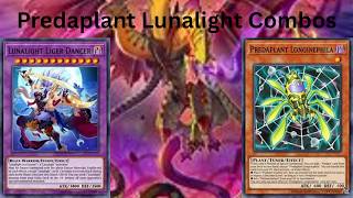 Predaplant Lunalight Combos Post Blazing Dominion Yugioh 2026