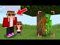 Minecraft NOOB Vs PRO FAMILY HIDE AND SEEK BATTLE CHALLENGE