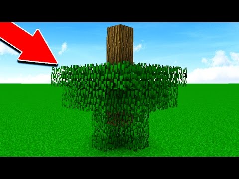 WHAT IF MINECRAFT DIDN'T HAVE RULES?