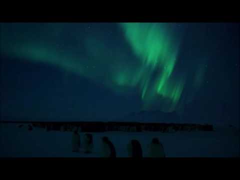 Video thumbnail for Walk Through Darkness