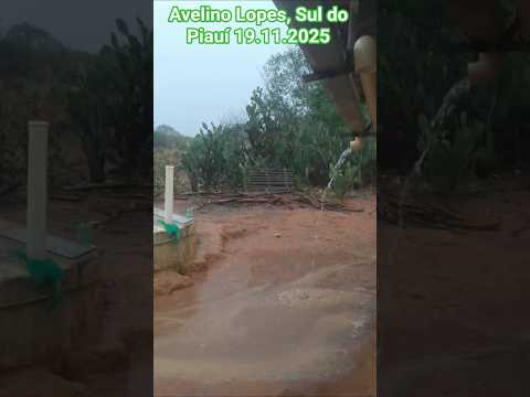 🇧🇷 CHUVA NO PIAUÍ NO MUNICÍPIO AVELINO LOPES, SUL DO PIAUÍ 19/11/2025 #chuvas  vidanaroça #vidanaroç