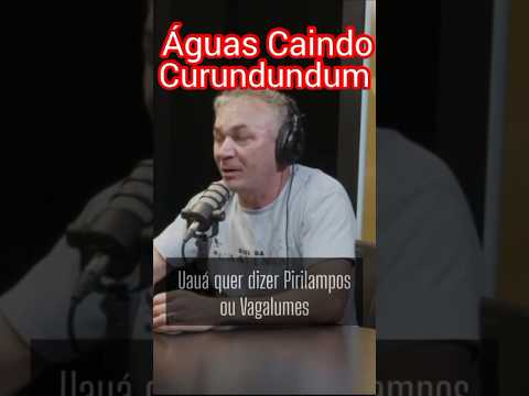 Curundundum Uauá Bahia, Vavá do Bexiga São Paulo ,vaga-lume bode Umbu