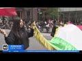 Iranian pride on display at Persian Parade on Madison Avenue