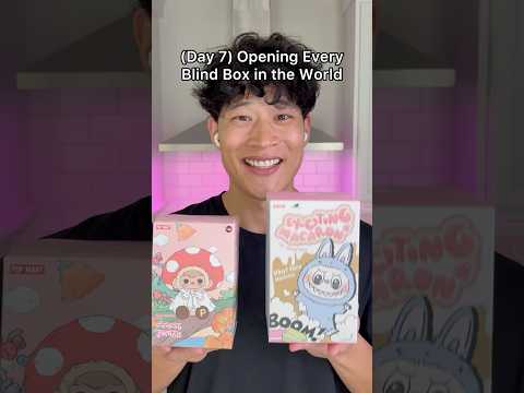 Opening Every Blind Box in the World (Day 7, Labubu Exciting Macaron)