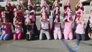 preview picture of video 'Pink Glove Dance - Henry Mayo Newhall Hospital (2013)'