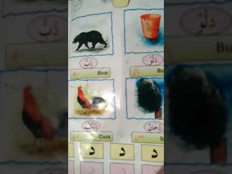 ist arabic mushtaq sb