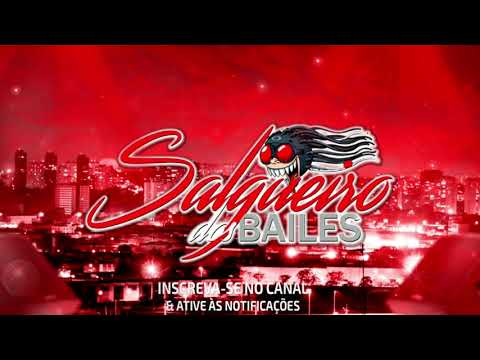 Gatinha Só Você 2 MC Vuk Vuk E MC RD ( DJ Pufinho )