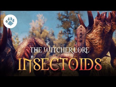 The Witcher Insectoids Steam Community :: Video :: What are Insectoids? The Witcher 3 Lore ...