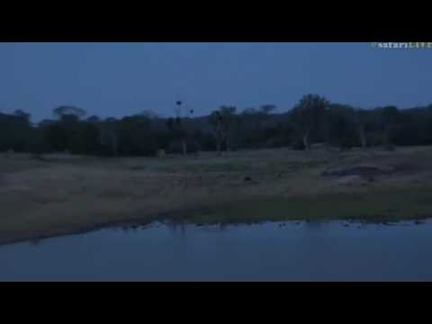 April 06, 2017- Lightning at Djuma with James Hendry