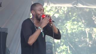 Yasiin Bey (Mos Def) - Ms. Fat Booty/Sun is Shining @ Osheaga (Day 2) in Montreal