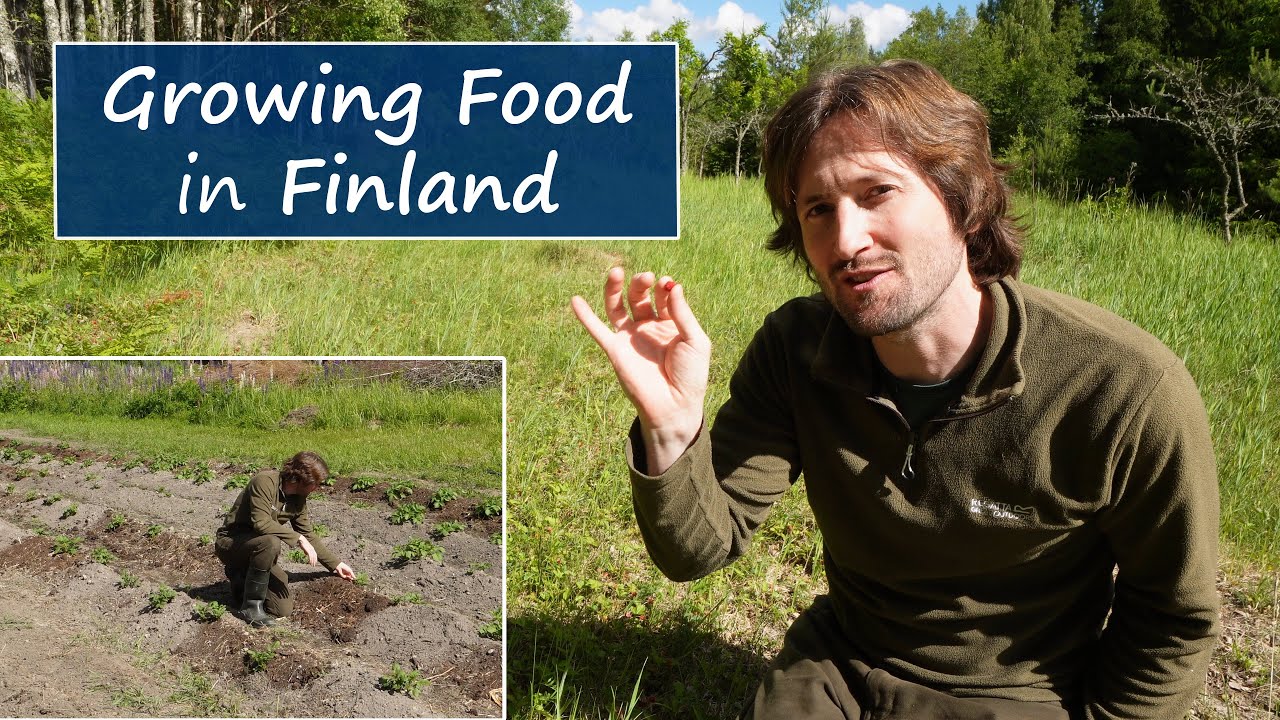Growing Food in Freezing Finland | My First Year