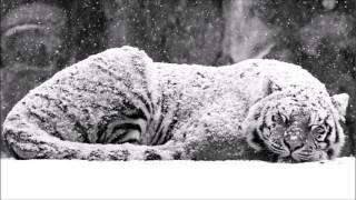 The only ones - Reamonn