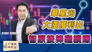 華星光大漲獲利出 智原接棒繼續賺 (圖)