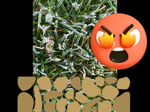 ☀️30A-Manchmal fällt auf uns der Frost u. macht uns hart. Drum öffne die Hände und spür diese Macht