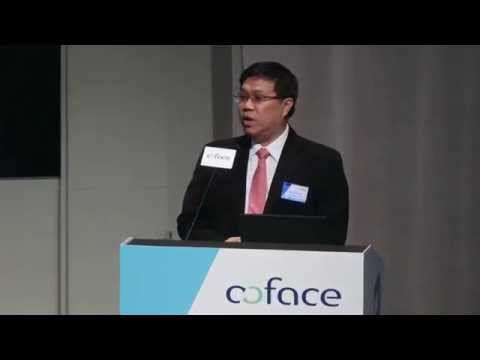 Coface 2015 Country Risk Conference - Opening Remarks - Hung Wong, Coface
