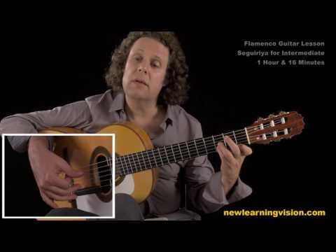 Demo of Flamenco Guitar Lesson, Seguiriya for Intermediate by Adam del Monte