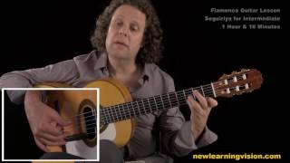 Demo of Flamenco Guitar Lesson, Seguiriya for Intermediate by Adam del Monte