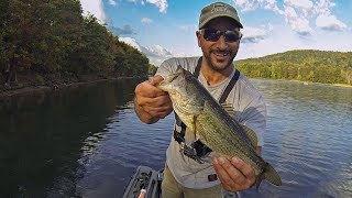 Early Fall Finesse Bass Fishing (Lake Habeeb, MD)