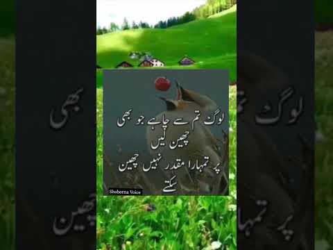 Islamic Quotes#shorts#shaheena voice#viral#ytubeshorts