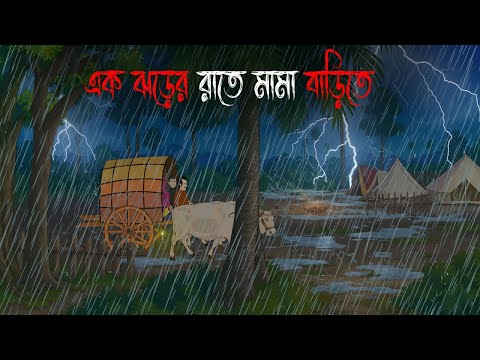এক ঝড়ের রাতে মামা বাড়িতে | Bhuter Cartoon | Bengali Horror Cartoon | Bangla Bhuter Golpo |Sonar Ayna