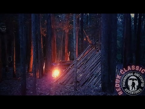 REDUX CLASSIC 1: The night they surrounded me (w/ improved audio!) || Australian Bigfoot || YOWIE