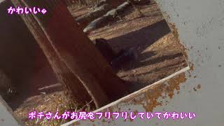 【サバゲー】HOTSPRINGS活動記録01.22【サバっちゃアウトドア】