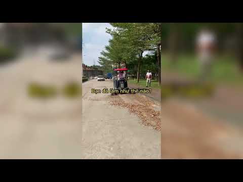 Vào mùa lá rụng, bạn cũng phải đối mặt với vấn đề dọn dẹp lá rụng hàng ngày, bạn đã làm như thế nào?