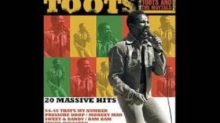 Toots And The Maytals Time Tough