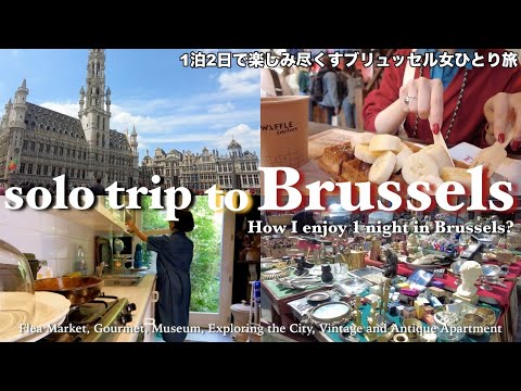Solo Trip to Brussel from Paris for 1 night | exploring the city, food, museum, flea market and more