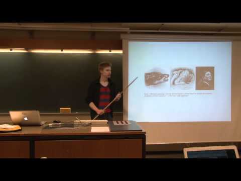 Neurobiology 13. Lec. - Emotions introduction [1/4]