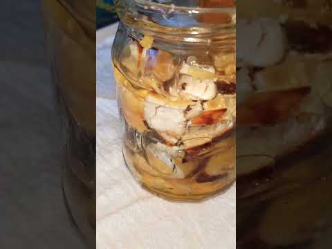 Honey on Meat: Ancient Preservation Secrets Revealed