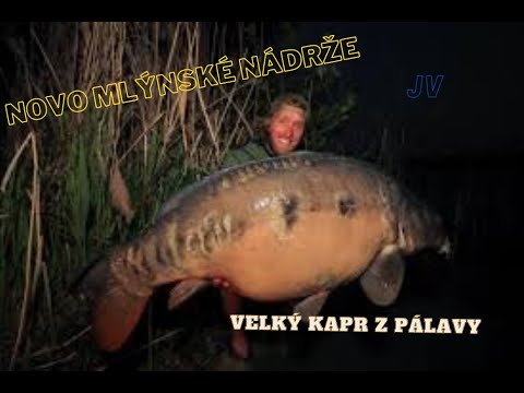 Rybí svět Jakuba Vágnera KAPR NOVÉ MLÝNY/odchov a lov kapra HD