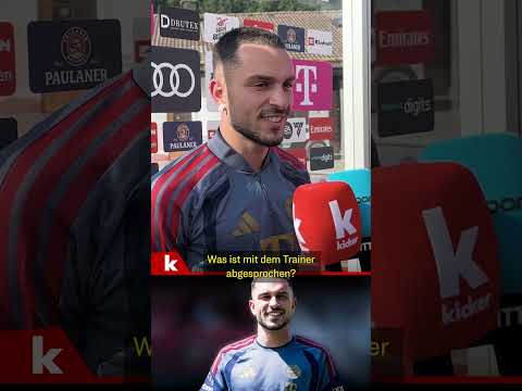 Video Thumbnail: Backup-Rolle für Luis Diaz? Ibrahimovic: "Möchte mich hier beweisen" I FC Bayern München #shorts