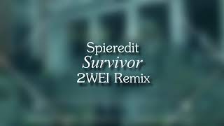 Download lagu Survivor 2wei remix - audio mp3 Download lagu Survivor 2wei remix - audio mp3