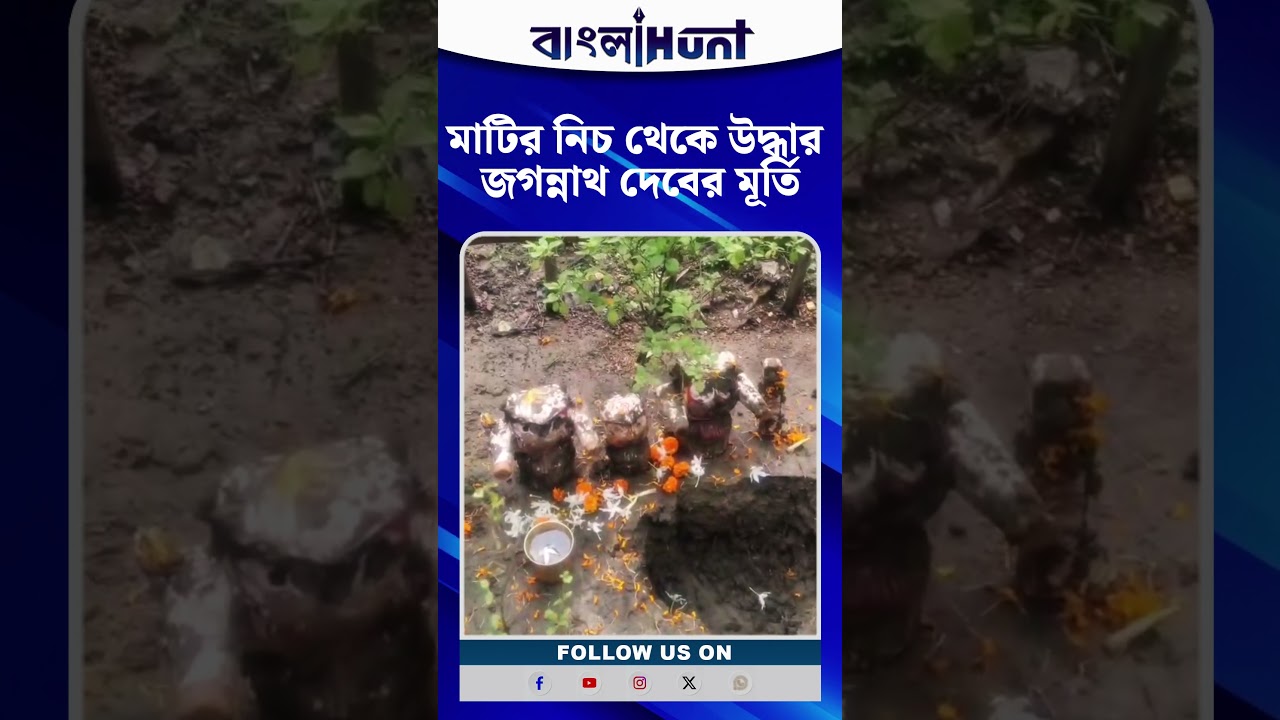 হলদিয়ার শালুকখালি গ্রামে মাটির নিচ থেকে উদ্ধার জগন্নাথ দেবের মূর্তি, দর্শনে উপচে পড়া ভিড়