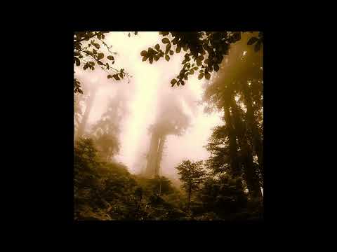 [FREE FOR PROFIT] XAVIER WULF X BONES X CHRIS TRAVIS CLOUD RAP TYPE BEAT [prod. 1kyotostarr]