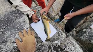 Indigenous Knowledge | Listening: Video 5