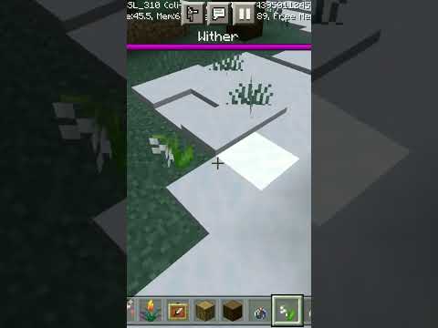 #minecraft  mystery flower