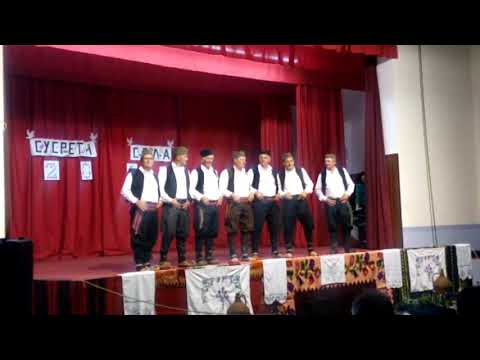 Kud glogovac grupa pevaca