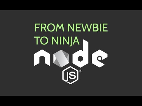 From Newbie to Ninja with Node js Full Node js Tutorial Course for Beginners
