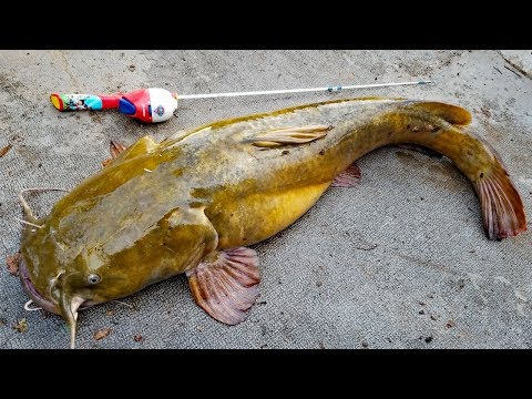 GIANT fish on TINY RODS! Toy rod fishing challenge!