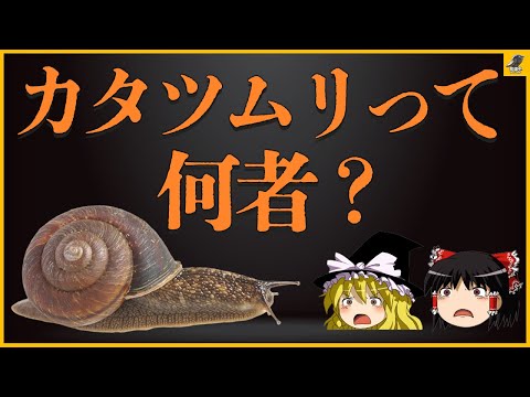 【ゆっくり解説】カタツムリって何者？不思議の多いカタツムリについて