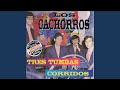Tres Tumbas