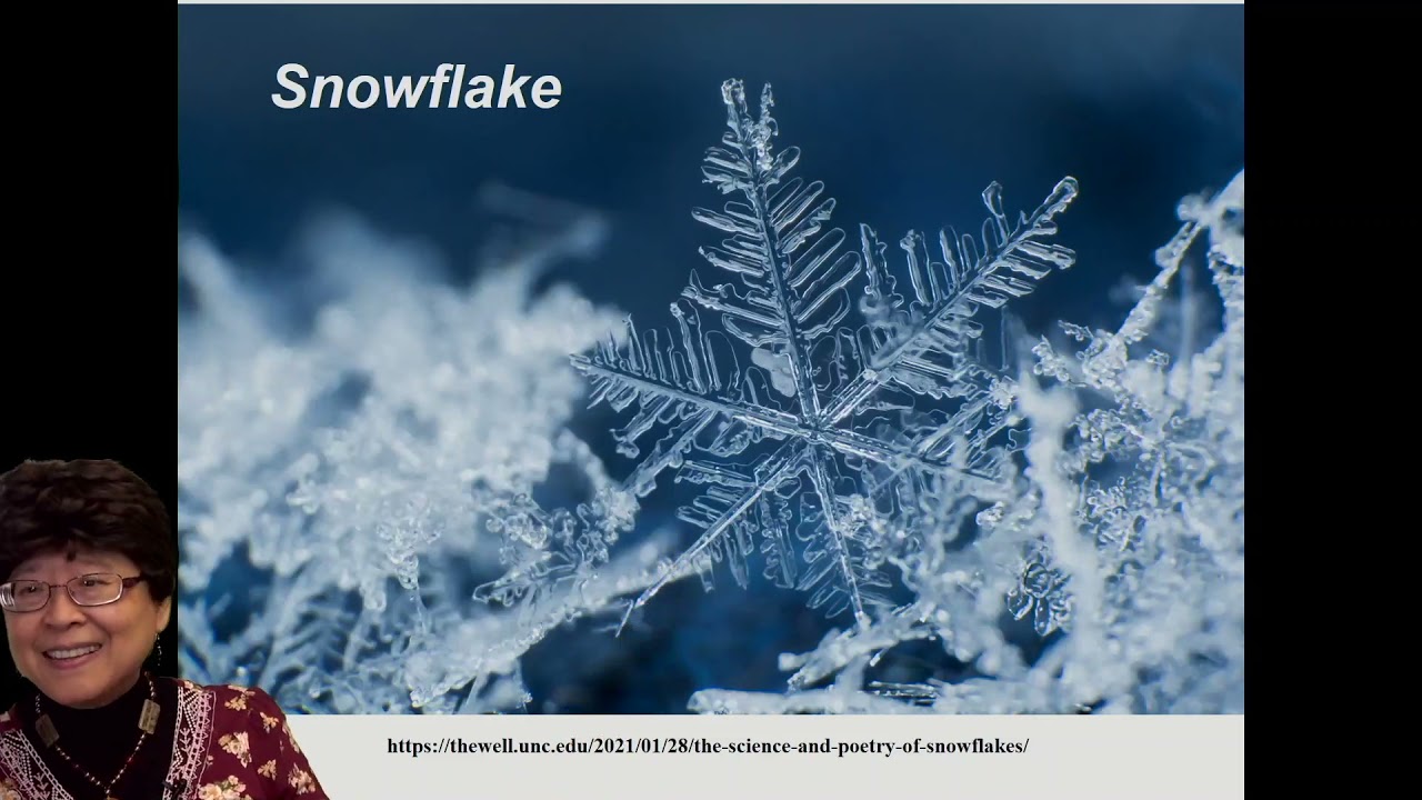 【Deborah Chung: Design in Nature】（English）